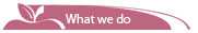 What we do